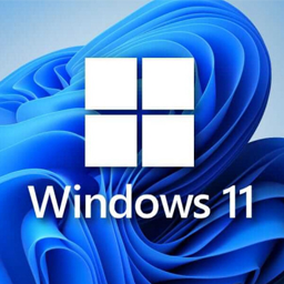 Windows 11超级精简版Tiny